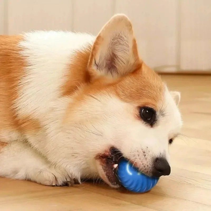 Smart USB Rechargeable Dog Toy Ball  Automatic Rolling  Bouncing Motion  Interactive Chew Toy For A