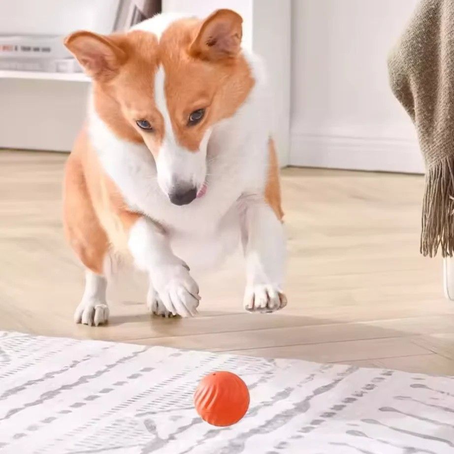 Smart USB Rechargeable Dog Toy Ball  Automatic Rolling  Bouncing Motion  Interactive Chew Toy For A