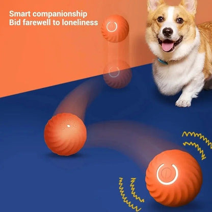 Smart USB Rechargeable Dog Toy Ball – Automatic Rolling & Bouncing Motion | Interactive Chew Toy for Active Puppies & Do