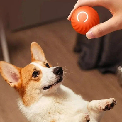 Smart USB Rechargeable Dog Toy Ball  Automatic Rolling  Bouncing Motion  Interactive Chew Toy For A