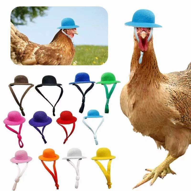 Mini Top Hat Accessory for Hens & Small Poultry – Fun Costume Pet Hat