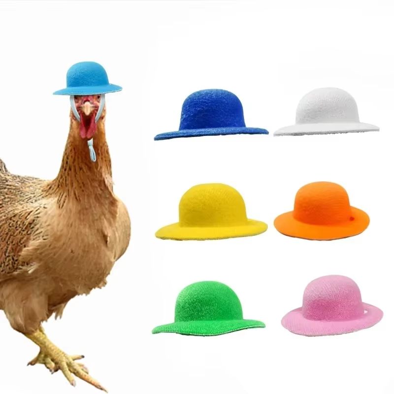 Mini Top Hat Accessory For Hens  Small Poultry  Fun Costume Pet Hat 1