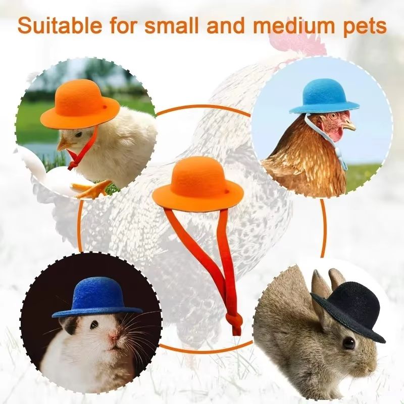 Mini Top Hat Accessory For Hens  Small Poultry  Fun Costume Pet Hat 2