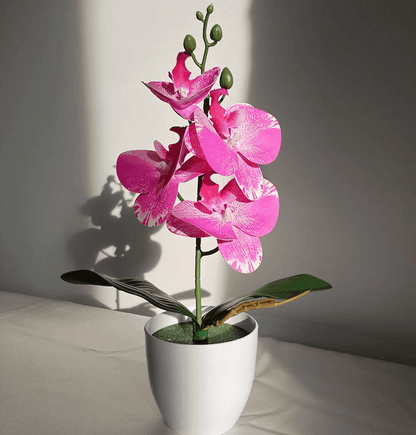 OrchidBloom Artificial Butterfly Orchid Plant 9
