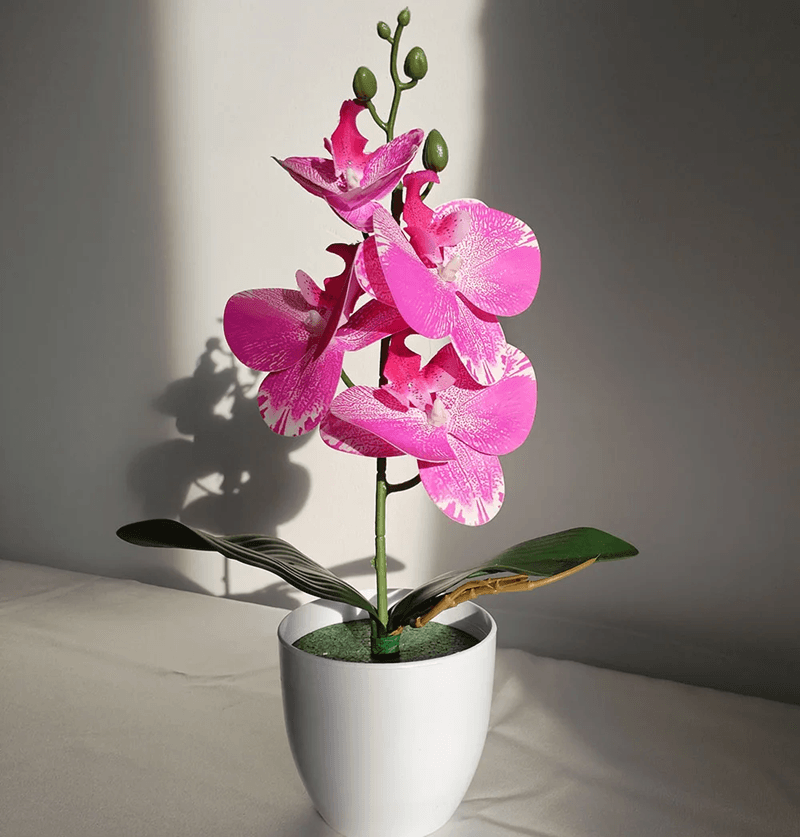 OrchidBloom Artificial Butterfly Orchid Plant 6