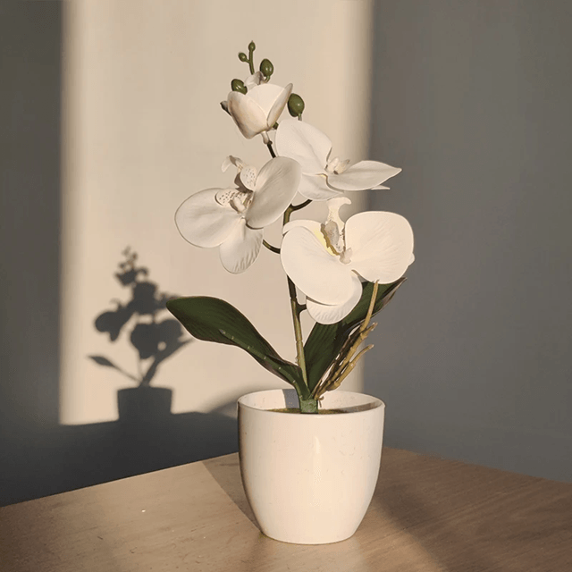 OrchidBloom Artificial Butterfly Orchid Plant 7