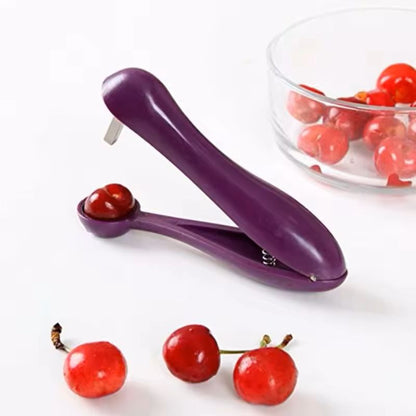 Fruit  Olive Pit Remover Tool For Cherry And Small Fruit Pitting 2
