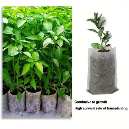 EcoGrow 8x10 Cm Biodegradable Nursery Bags  100 Pack Seed Starter Fabric Pots 1