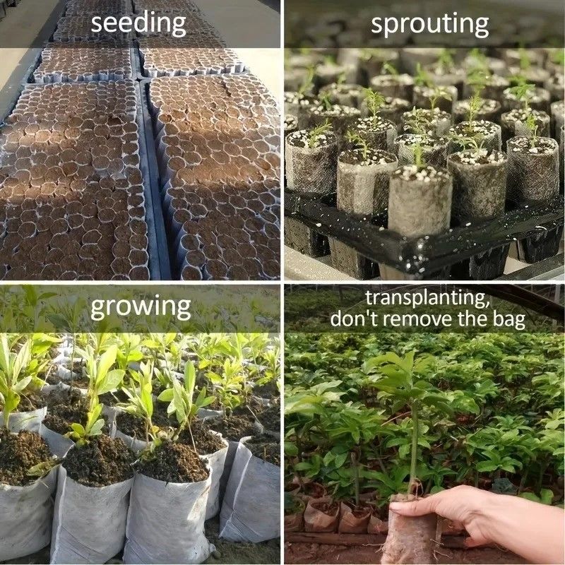 EcoGrow 8x10 Cm Biodegradable Nursery Bags  100 Pack Seed Starter Fabric Pots 5