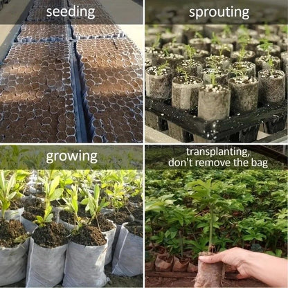 EcoGrow 8x10 Cm Biodegradable Nursery Bags  100 Pack Seed Starter Fabric Pots 5