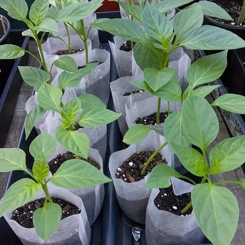 EcoGrow 8x10 Cm Biodegradable Nursery Bags  100 Pack Seed Starter Fabric Pots 3