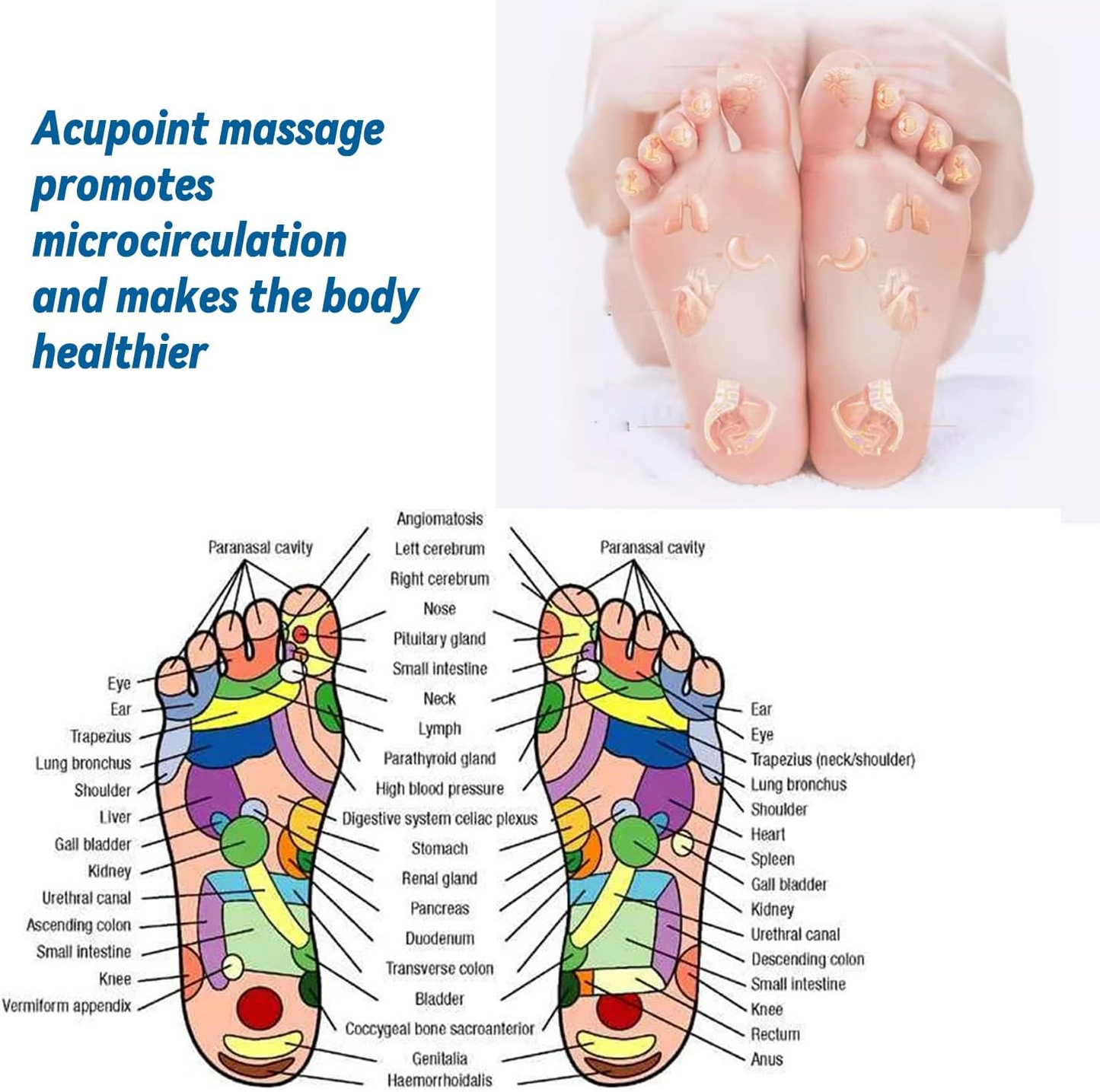 Magnetic Therapy Insoles Antifatigue Insole Foot Arch Support Weight Loss Shoe Pads 4