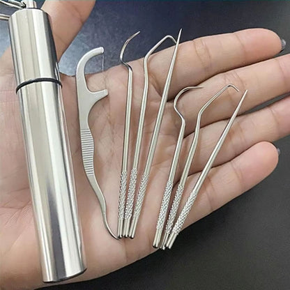 Stainless Steel Reusable Toothpick Set – Portable Metal Floss Picks for Clean Teeth Anywhere
