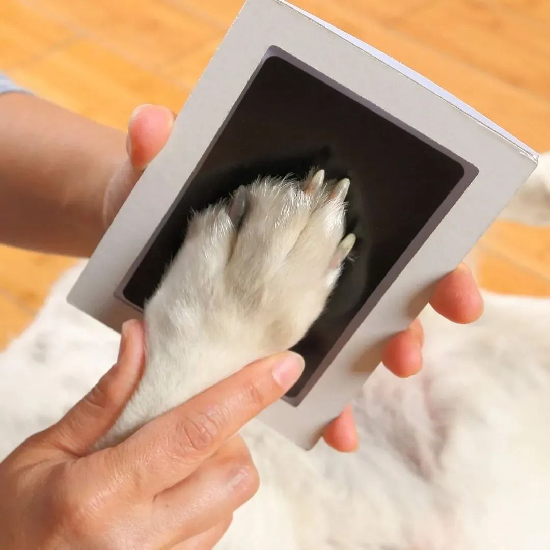 Paw Print Clean Touch Ink Pad For Pet Keepsake Impressions 2