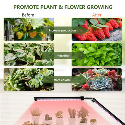 Indoor Plant Growth Lamp, Full Spectrum Seed Lamp with Timer and Three Color Dimmable Floor Lamp