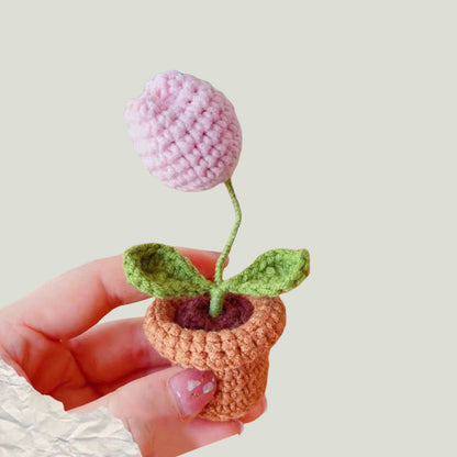 Handwoven Mini Potted Flower Rose Office Desktop Woolen Thread Ornamental Plant For Home Decor 21