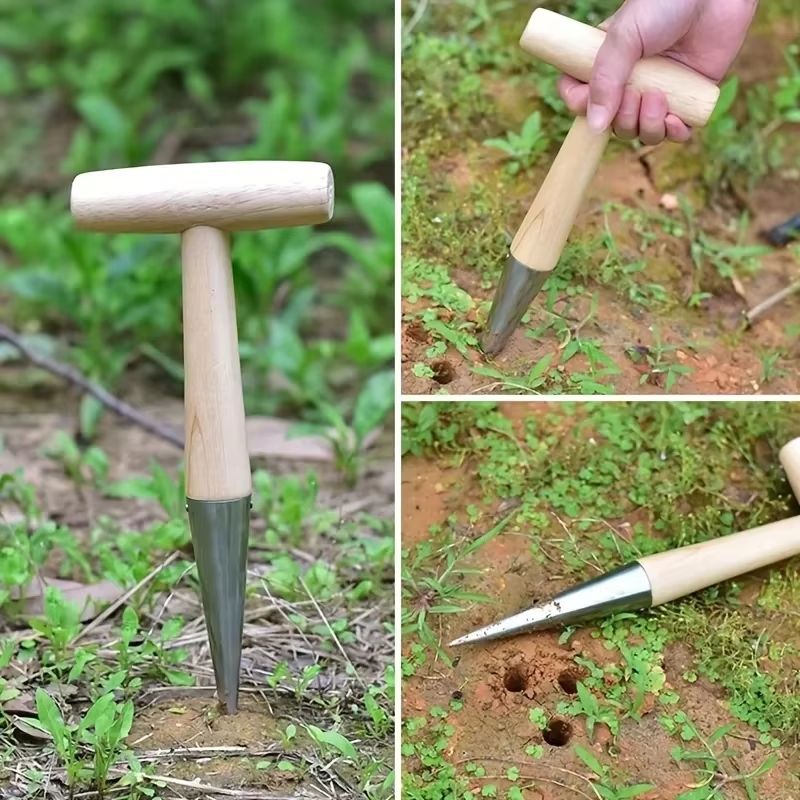 Stainless Steel Hand Dibber With Wood Handle  Precision Garden Dibber For Seeds Seedlings  Bulbs 1