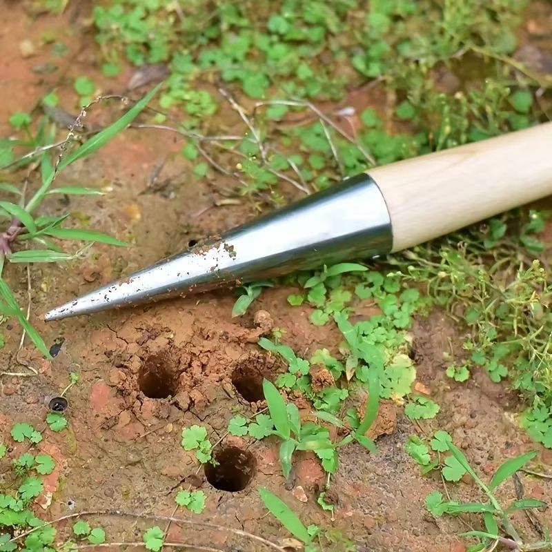 Stainless Steel Hand Dibber With Wood Handle  Precision Garden Dibber For Seeds Seedlings  Bulbs 2