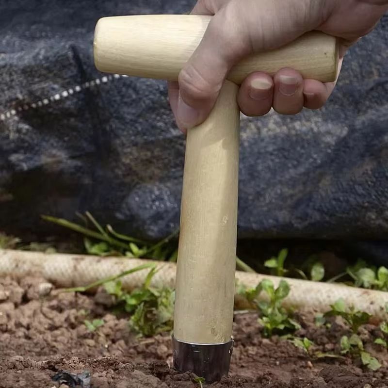 Stainless Steel Hand Dibber With Wood Handle  Precision Garden Dibber For Seeds Seedlings  Bulbs 5