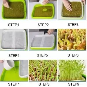Hydroponic Microgreens Germination Tray  Reusable Nursery Sprouting Tray For Home Growing Systems 4