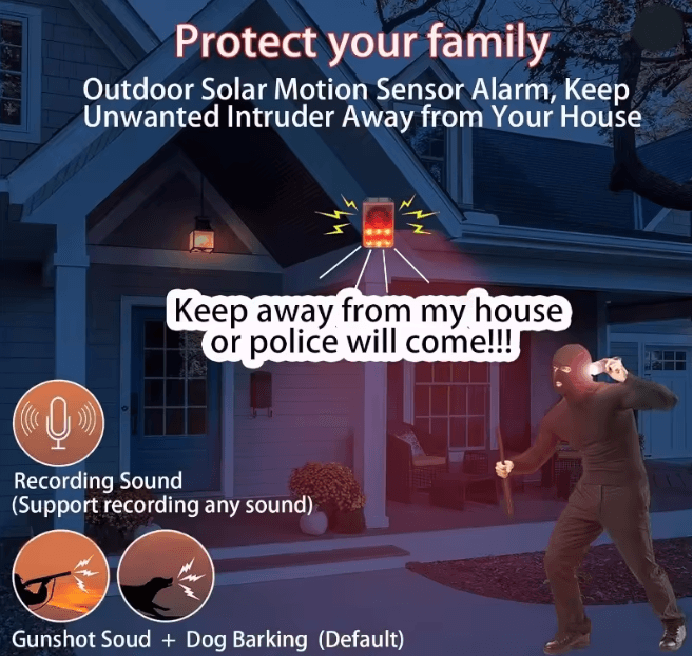 Solar Motion Alarm Security Light 1