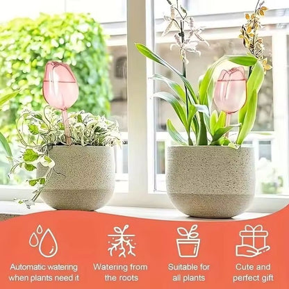 Pink Tulip Self Watering Plant Bulbs For Indoor And Outdoor Pots 2
