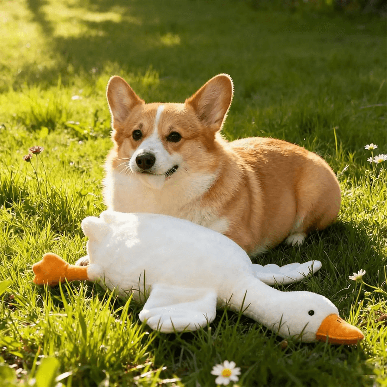 CuddleDuck Plush Dog Toy 1