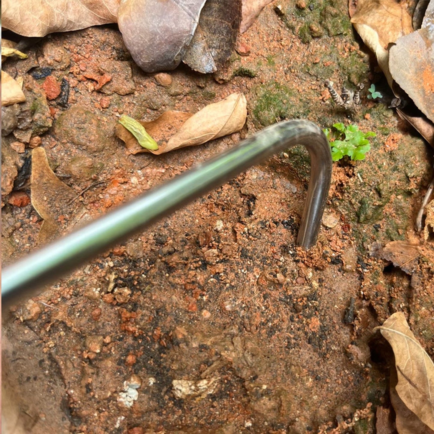 Single Claw Weeder Garden Hand Tool Root Hook For Loosening Digging And Tilling 2