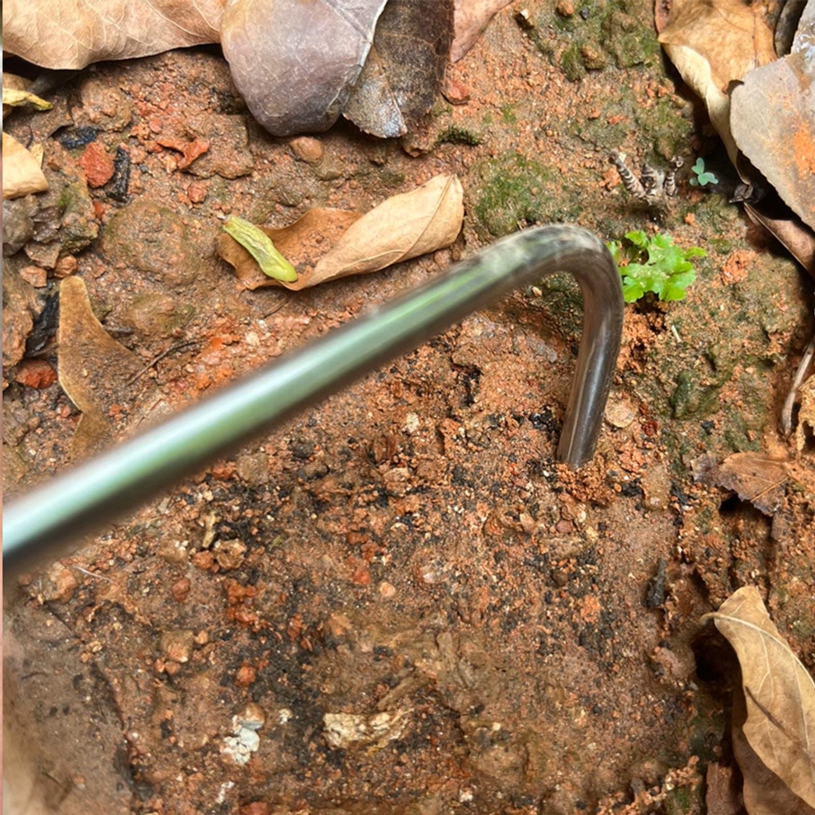 Single Claw Weeder Garden Hand Tool Root Hook For Loosening Digging And Tilling 2