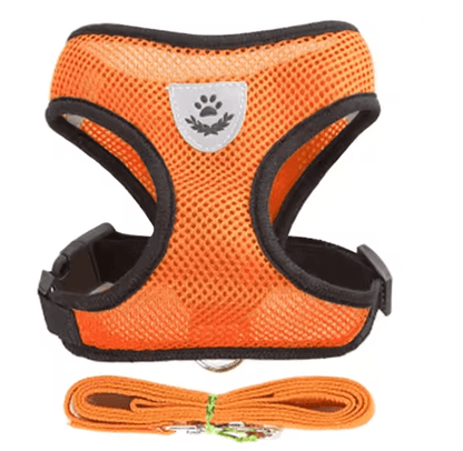 Adjustable Mesh Cat And Small Dog Harness With Leash 9