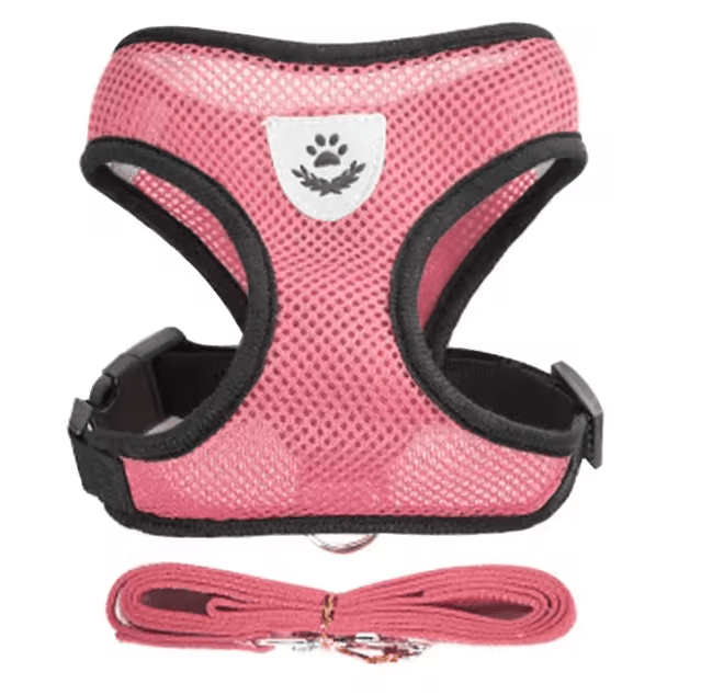 Adjustable Mesh Cat And Small Dog Harness With Leash 10