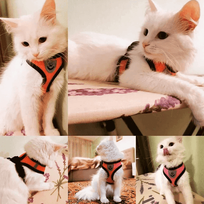 Adjustable Mesh Cat And Small Dog Harness With Leash 1