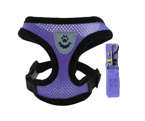 Adjustable Mesh Cat And Small Dog Harness With Leash 4