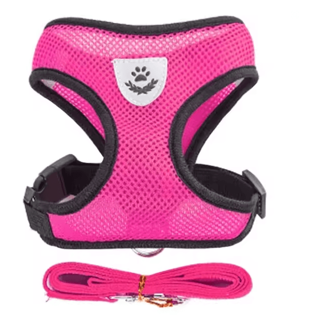 Adjustable Mesh Cat And Small Dog Harness With Leash 5