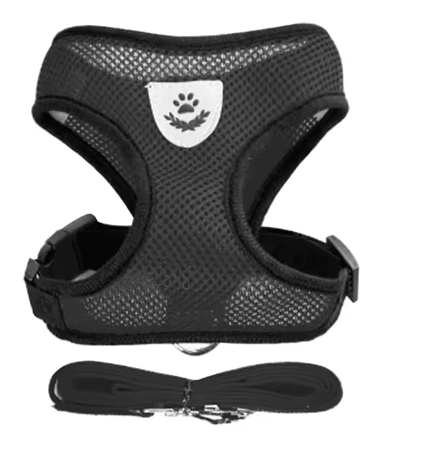 Adjustable Mesh Cat And Small Dog Harness With Leash 6