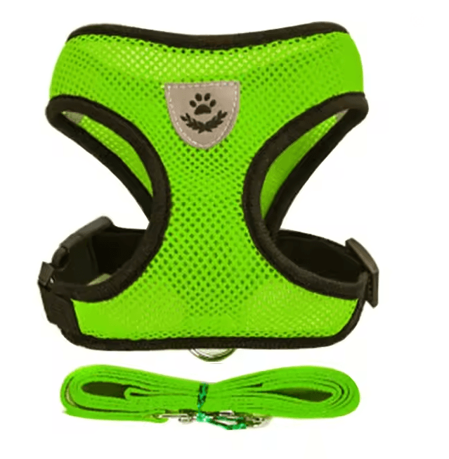 Adjustable Mesh Cat And Small Dog Harness With Leash 7