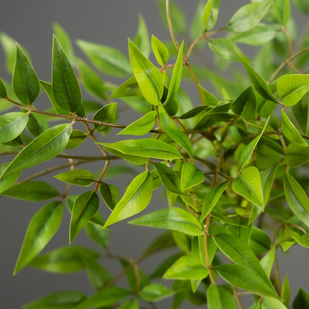 Green Tall Plants Fake, Artificial Plants Nandina Tree, Faux Branches Leaves Plants for Home Garden Office Decor