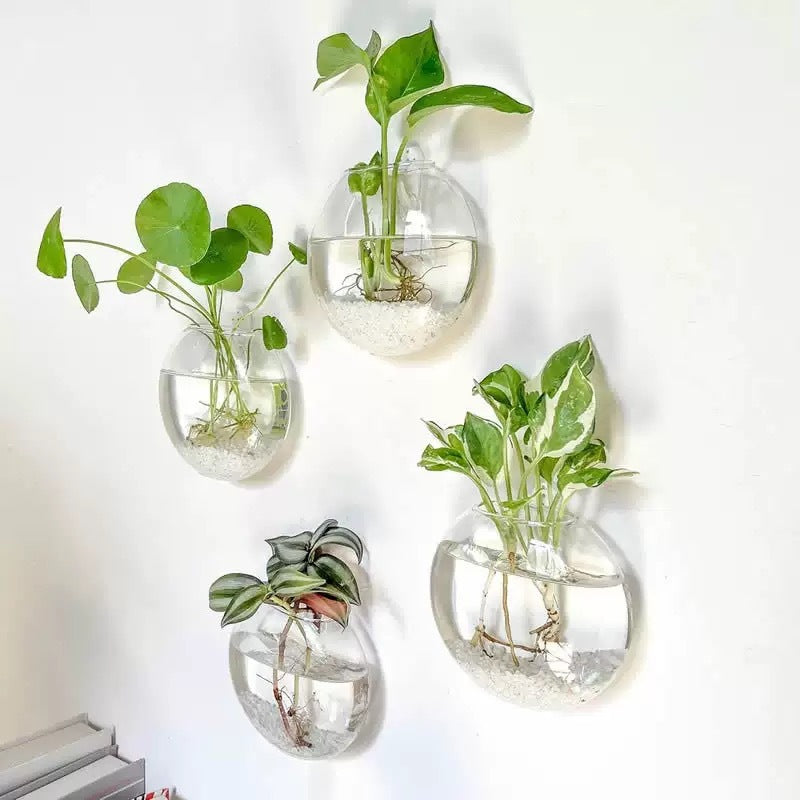 Handmade Round Crystal Vase, Wall Hanging Glass Terrarium, Self Watering Hydroponic Planter, Home Office Decor