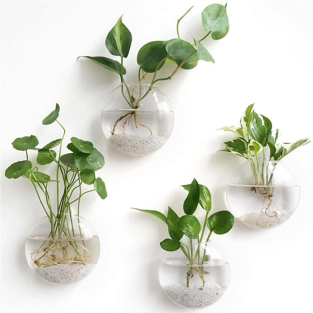 Handmade Round Crystal Vase Wall Hanging Glass Terrarium Self Watering Hydroponic Planter Home Offi 6
