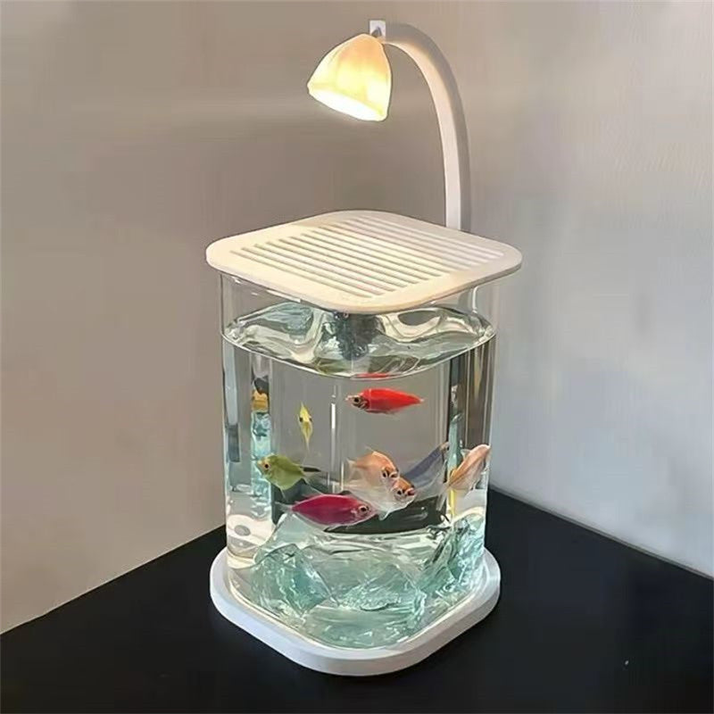Betta Fish Mini Desktop Glass Aquarium Tank With LED Light For Kids Betta Fish 5