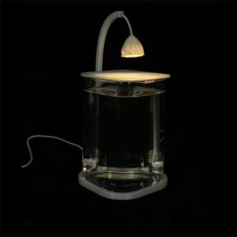 Betta Fish Mini Desktop Glass Aquarium Tank With LED Light For Kids Betta Fish 6