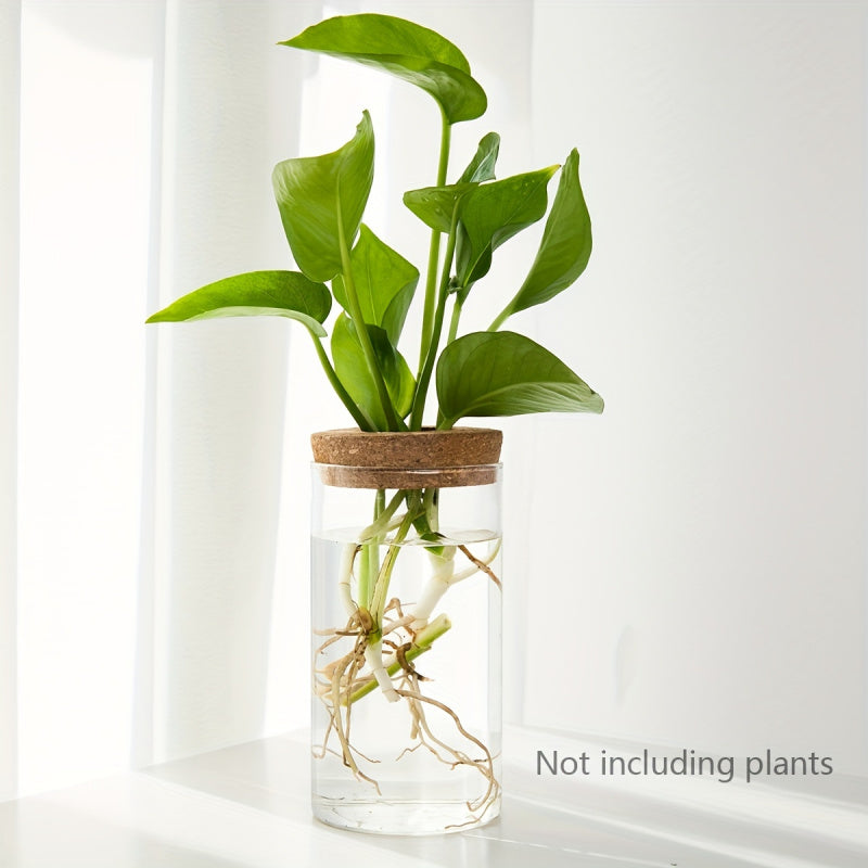 Desktop Hydroponics Glass Planter Plant Propagation Station Bud Vase Vase For Home Decoration 3