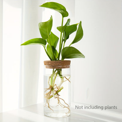 Desktop Hydroponics Glass Planter Plant Propagation Station Bud Vase Vase For Home Decoration 3