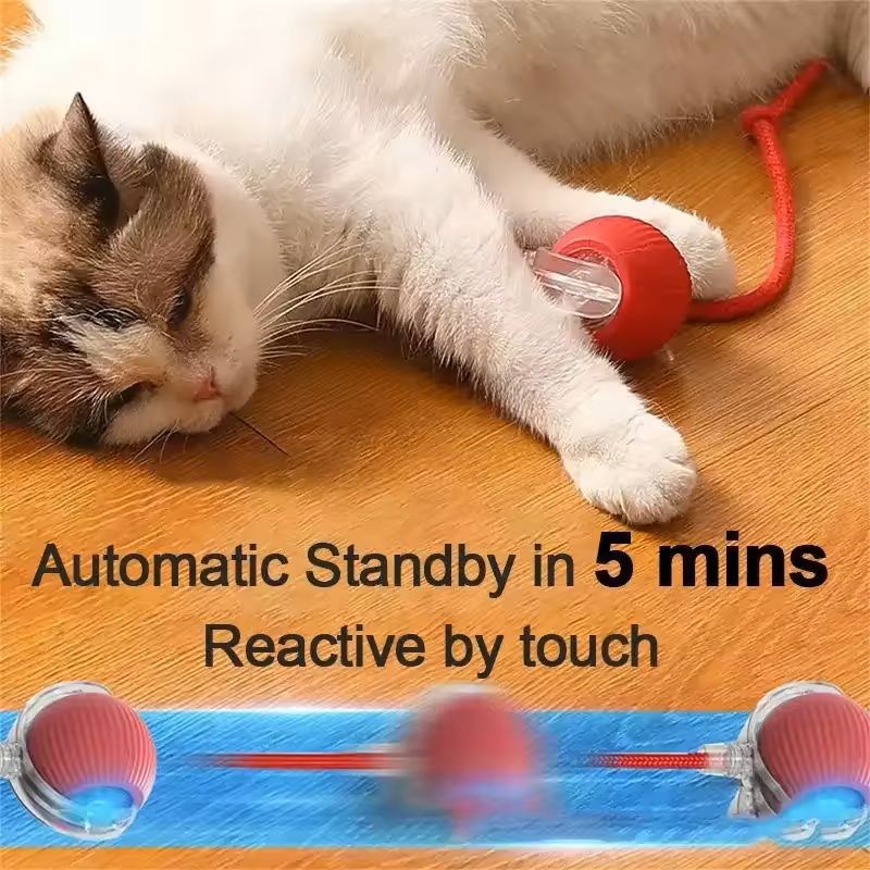 Automatic Rolling TailBall Cat Toy  Rechargeable Interactive Pet Ball For Cats 5