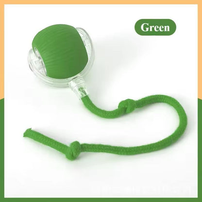 Automatic Rolling TailBall Cat Toy  Rechargeable Interactive Pet Ball For Cats 6