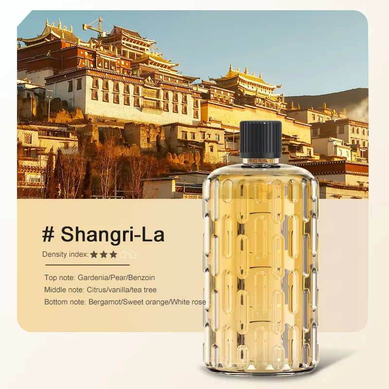 Wall Mounted Aroma Diffuser with Time Setting Essential Oils Fragrance Diffusing for Air Purifying