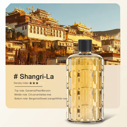 Wall Mounted Aroma Diffuser with Time Setting Essential Oils Fragrance Diffusing for Air Purifying