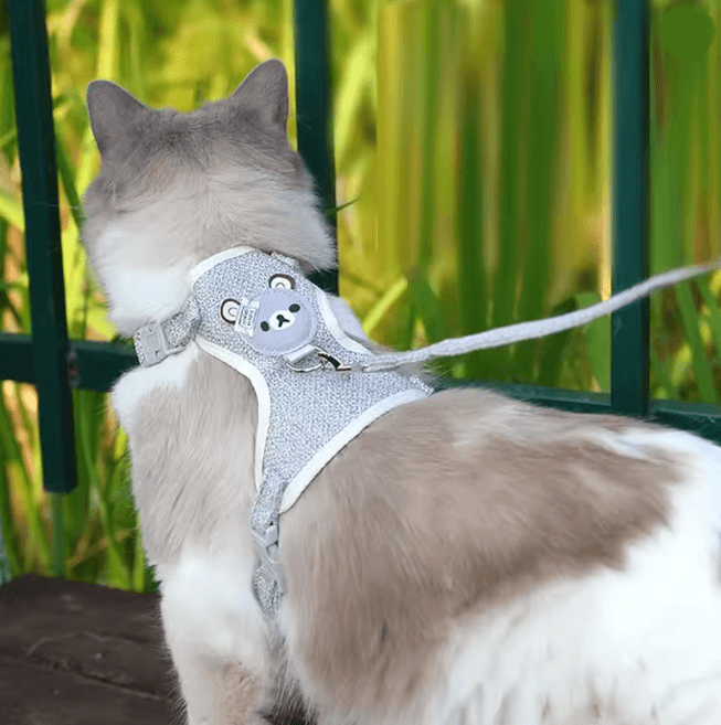 Small Pet Vest Harness And Leash Set For Dogs Cats And Bunnies 3