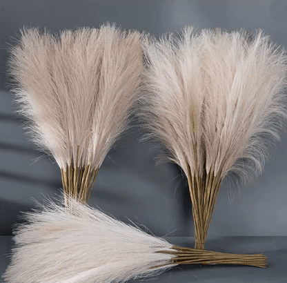 Fluffy Pampas Grass Stems for Boho Home and Event Decor