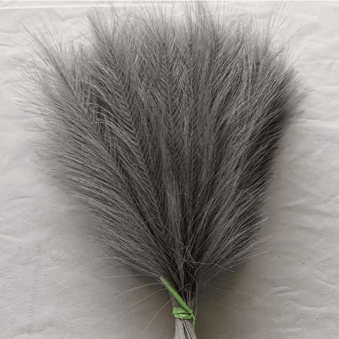 Fluffy Pampas Grass Stems For Boho Home And Event Decor 11